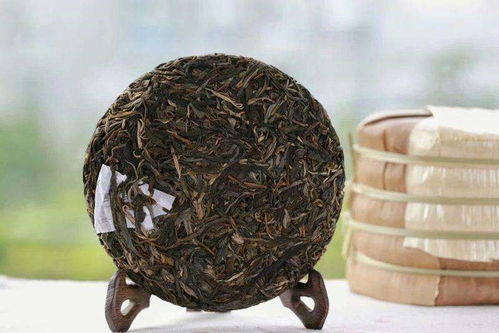 茶葉的陳化奧秘與茶具的輔助之功